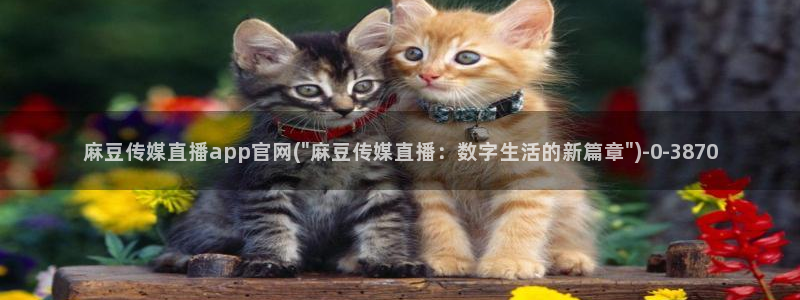麻豆传媒官网樱桃:麻豆传媒直播app官网(\