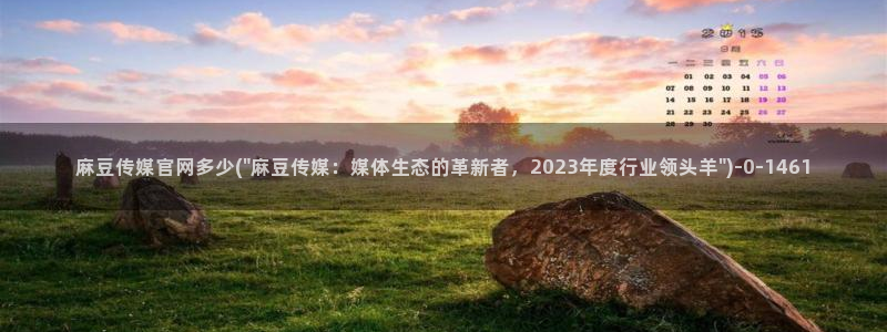麻豆视频传媒官网:麻豆传媒官网多少(\